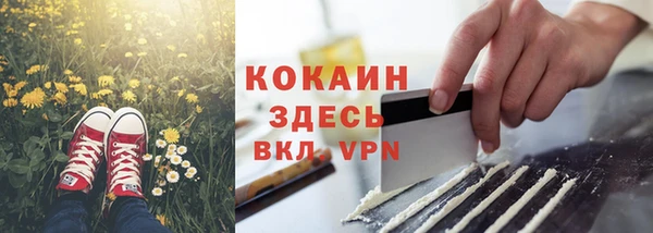 амф Аркадак