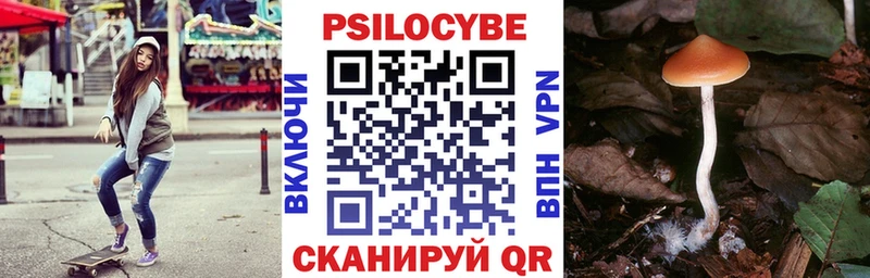 Псилоцибиновые грибы мухоморы Белоярский